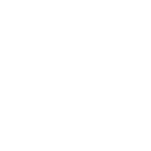 NFL Logo