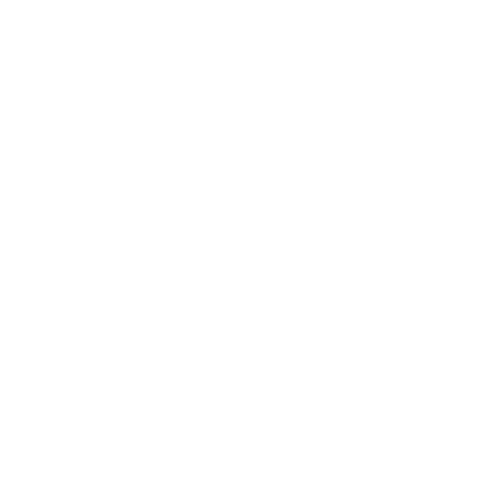 Naxos of America Logo
