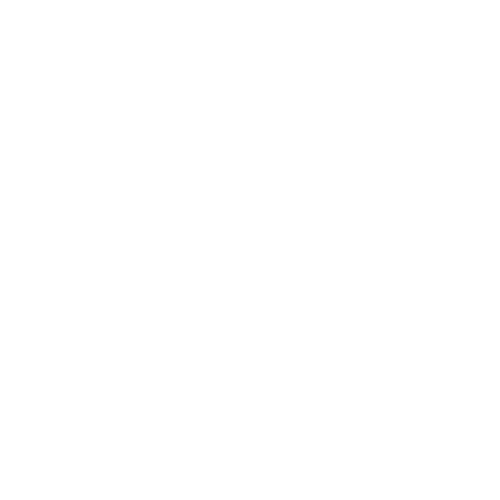 Vice Logo
